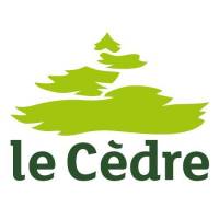 le-cèdre.jpeg